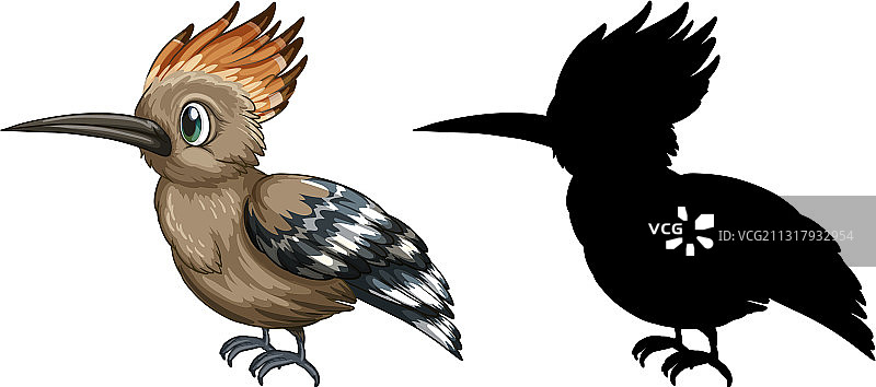 白色背景上的走鹃角色及其轮廓图片素材