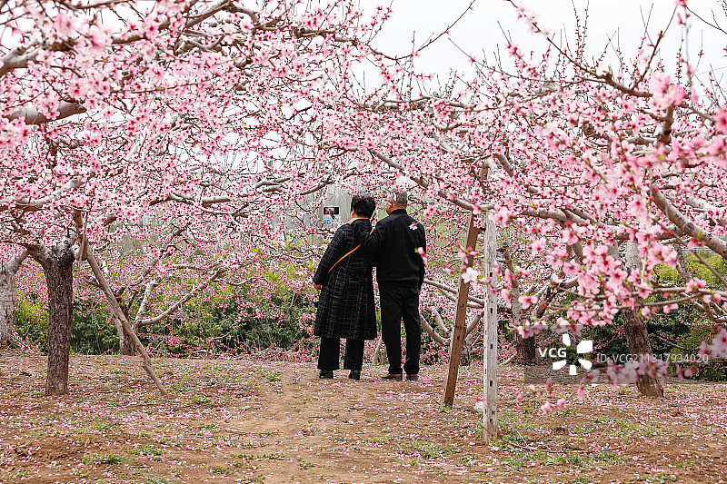 走进春天图片素材