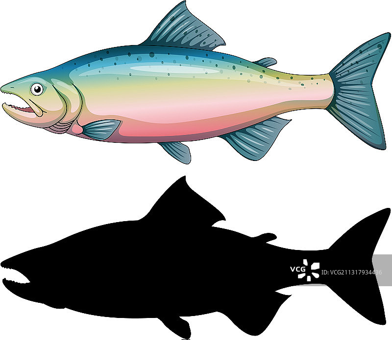 鱼类角色及其轮廓合集图片素材