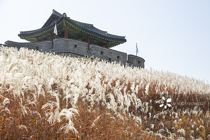 绚丽多彩的秋景图片素材