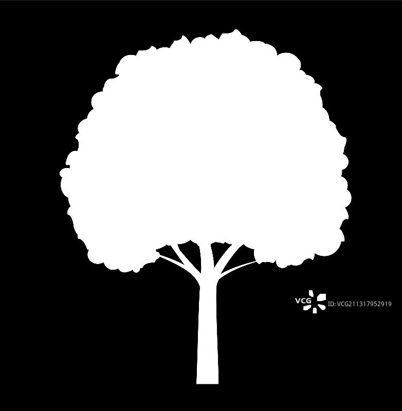 黑色背景上的白色树轮廓图片素材