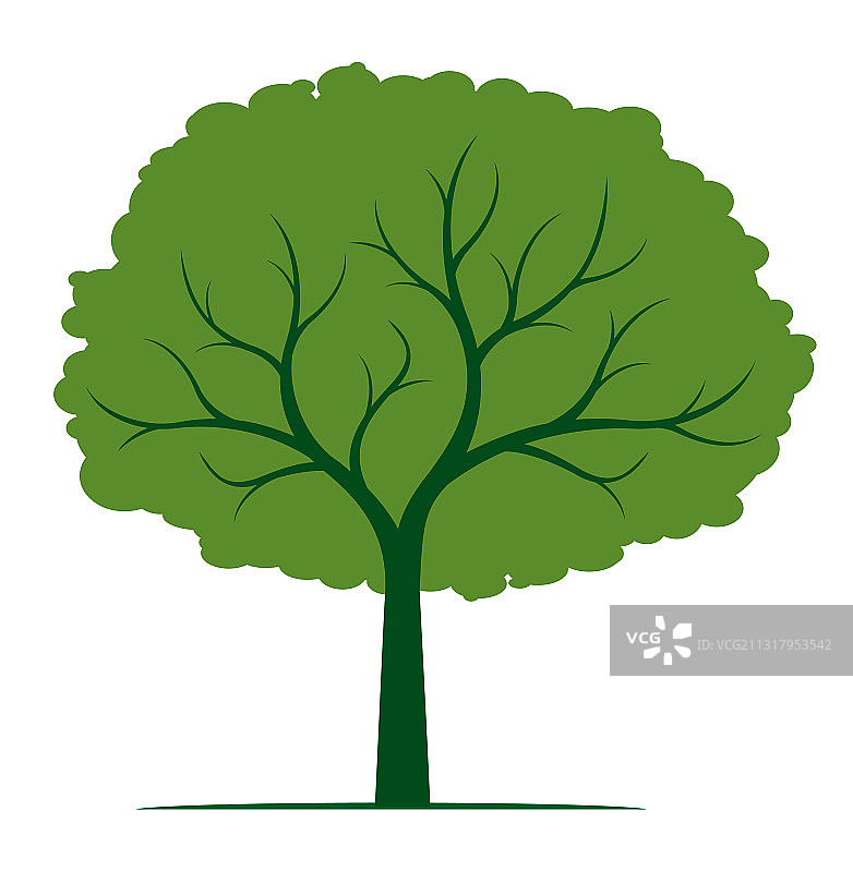 绿叶树木轮廓图片素材