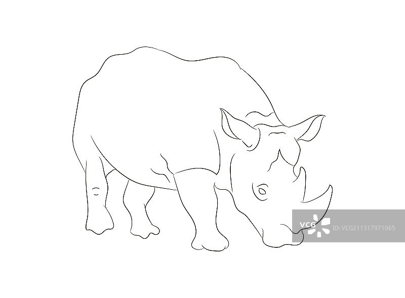 犀牛线条画图片素材