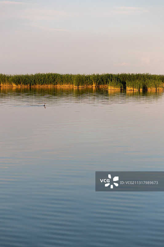 银川 沙湖 大话西游拍摄地 罗兰古城图片素材