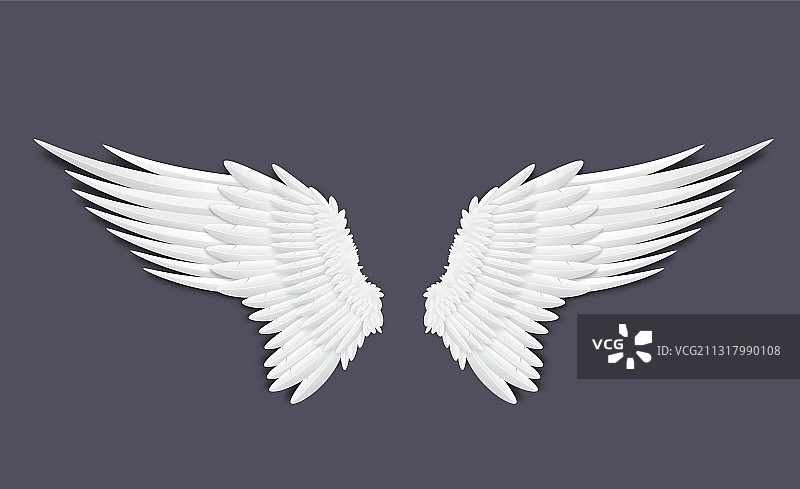 天使或鸟翅膀羽毛模板图片素材