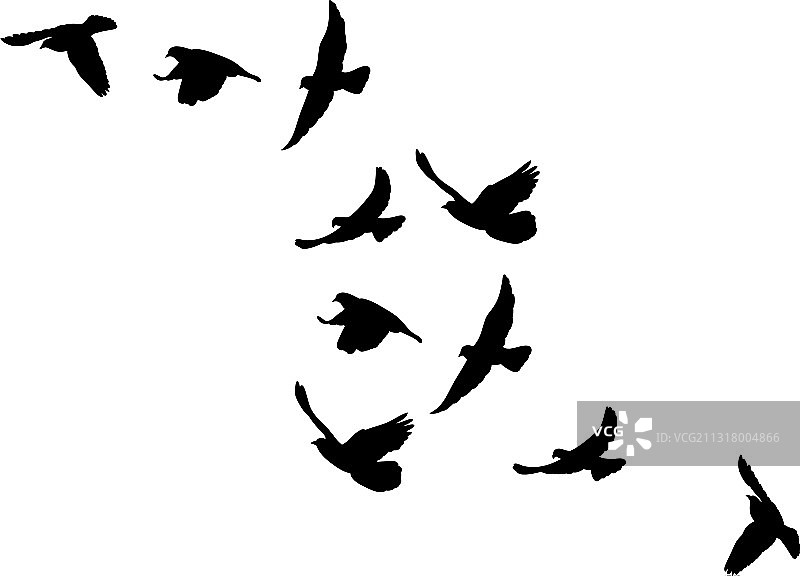 飞鸟剪影图片素材
