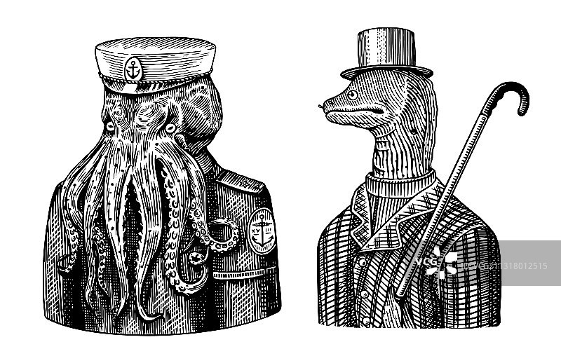 章鱼、水手、船长与海鳗图片素材