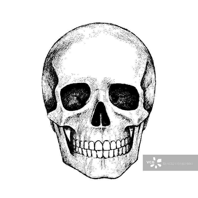 手绘铅笔人头骨图片素材