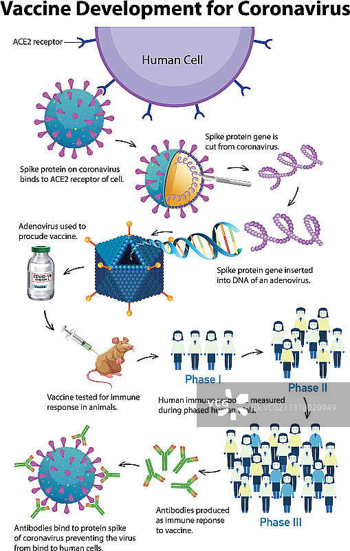 新冠病毒疫苗研发图片素材