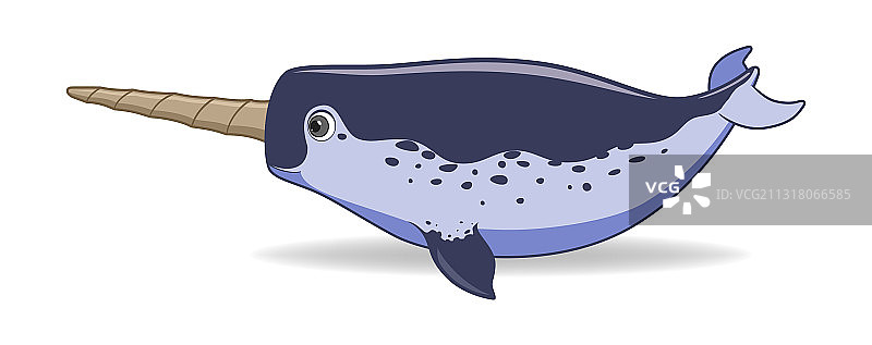 白色背景上的独角鲸图片素材