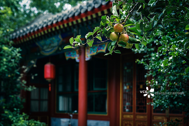 小院春雨图片素材