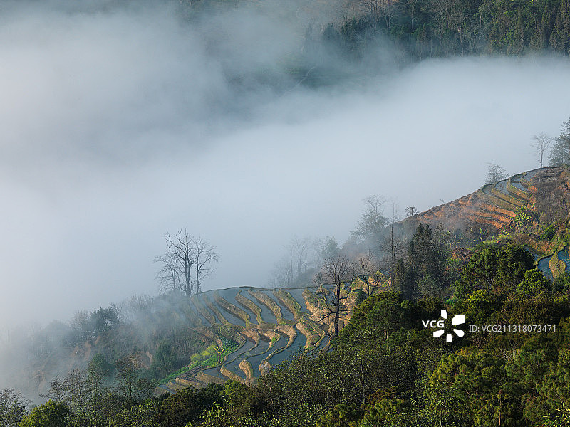 云南省红河州红河县撒马坝梯田云海图片素材