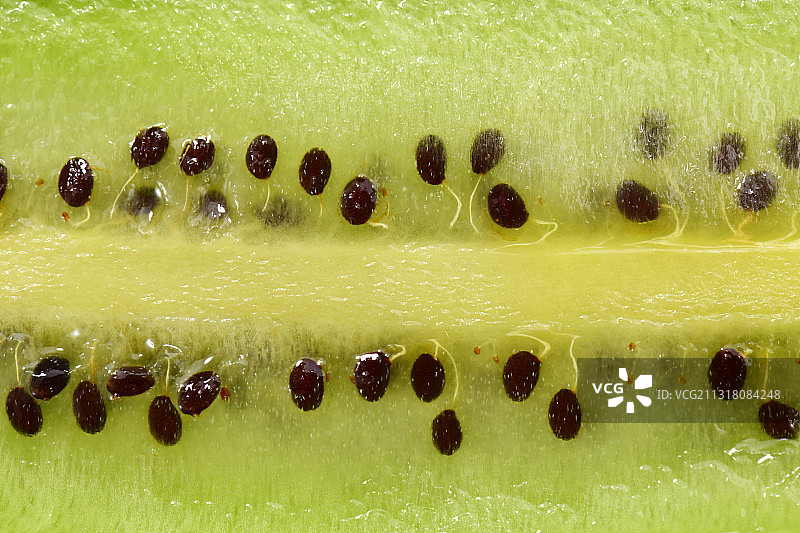 切开的猕猴桃特写图片素材