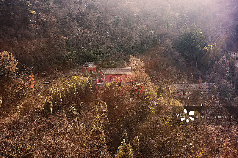 林中道观图片素材