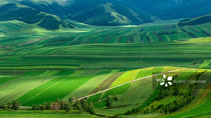 屏保的色彩图片素材