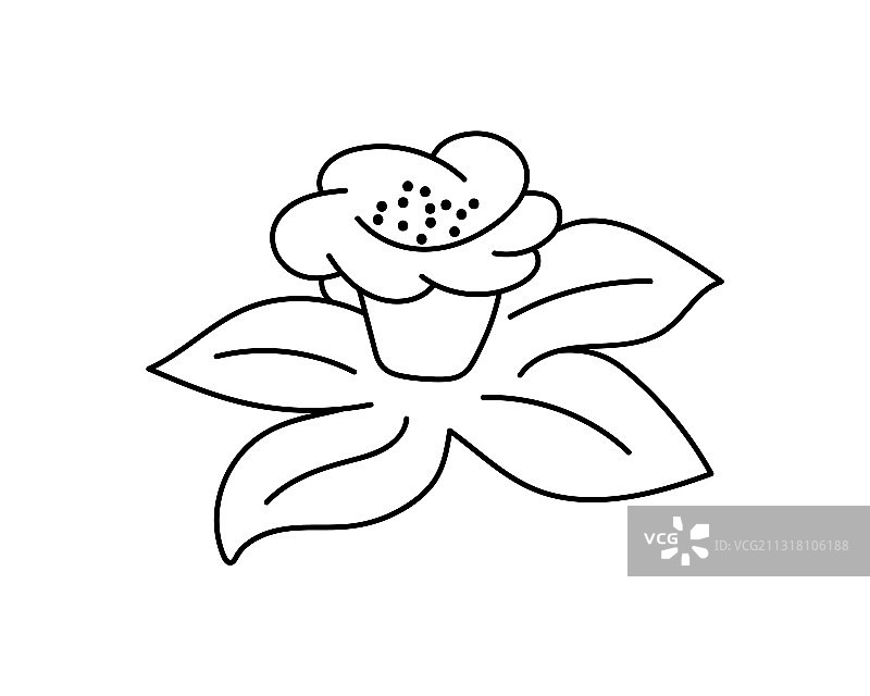 水仙花线稿涂色页图片素材