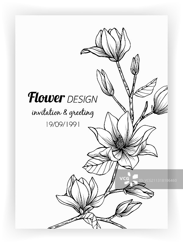 手绘玉兰花叶贺卡图片素材