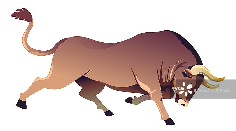 长着锋利角的奔跑水牛图片素材