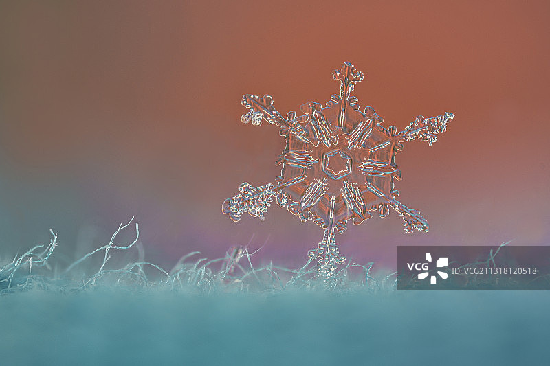 雪花装饰的特写图片素材