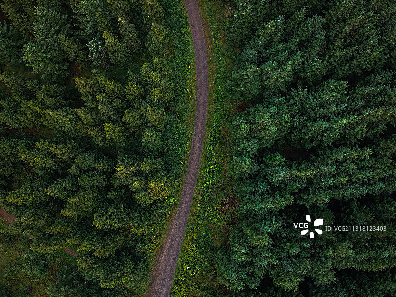 英国萨默塞特郡森林公路航拍图片素材