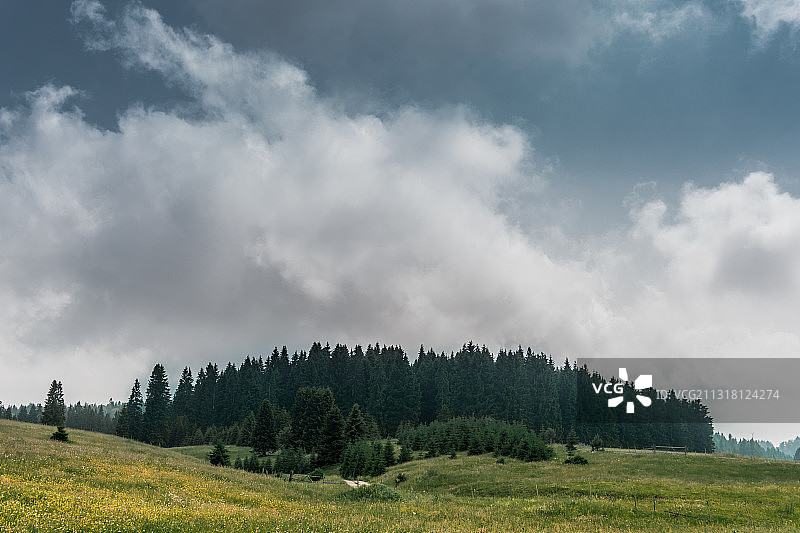 波斯尼亚和黑塞哥维那斯普斯卡共和国拉夫纳罗马尼亚的田野树木全景图片素材