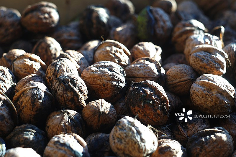 烘焙咖啡豆特写图片素材