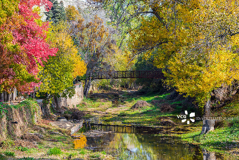 秋季加利福尼亚州萨特克里克森林湖边的树木，美国图片素材