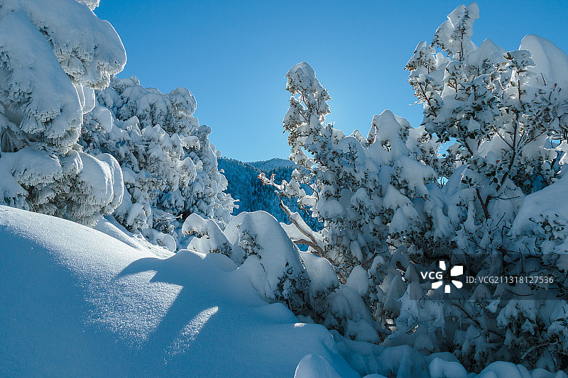 美国加利福尼亚州鲍尔迪山雪景风光图片素材