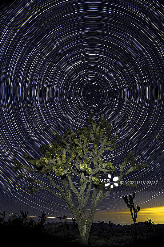 仰视角度拍摄的星轨，位于美国加利福尼亚州莫哈韦沙漠的夜空图片素材