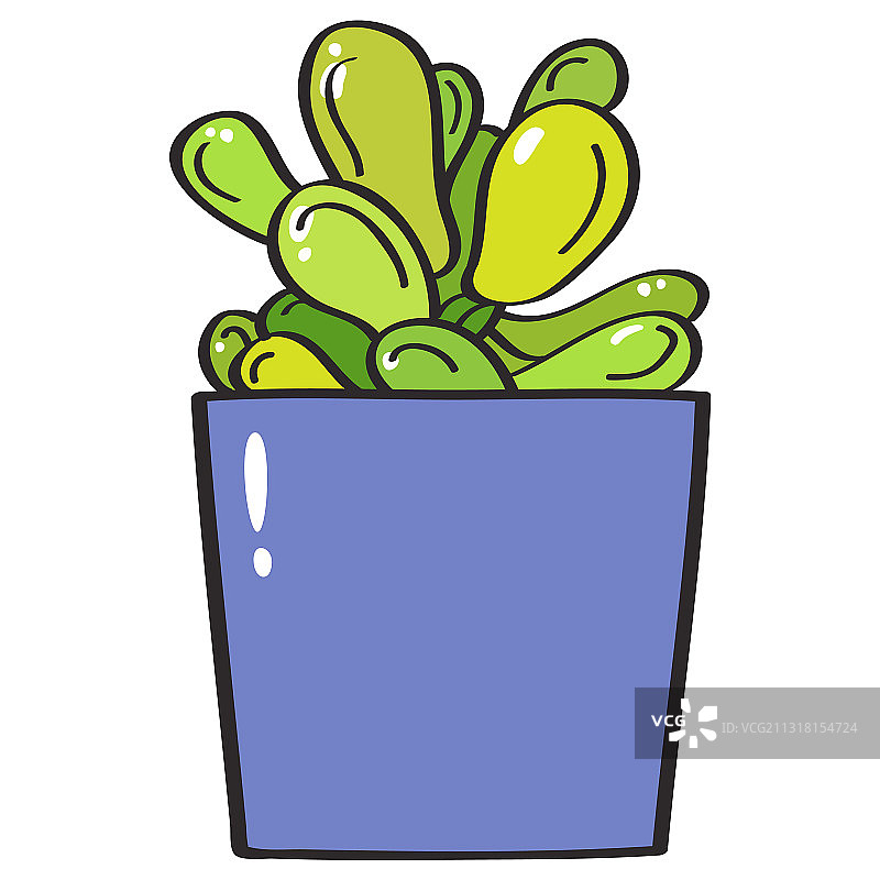 可爱绿色多肉植物图片素材