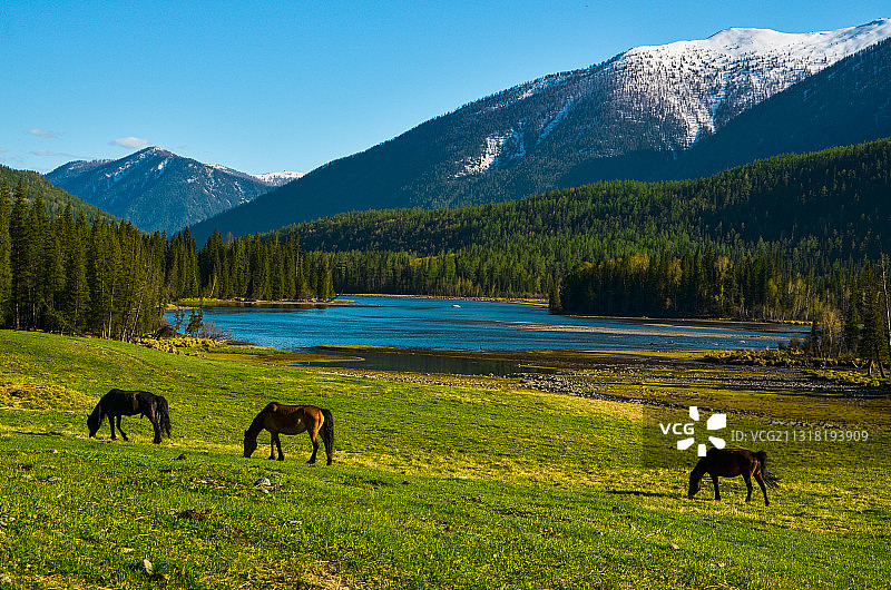 中国新疆喀纳斯国家地质公园神仙湾景点图片素材