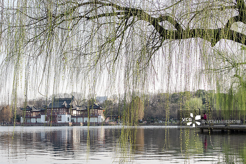 春风又绿江南岸图片素材