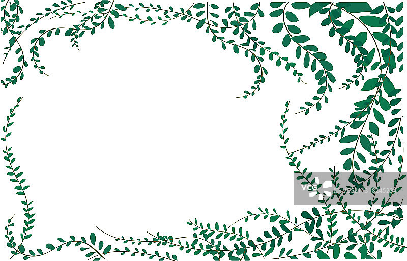 墙上的墨西哥雏菊植物外套纽扣图片素材