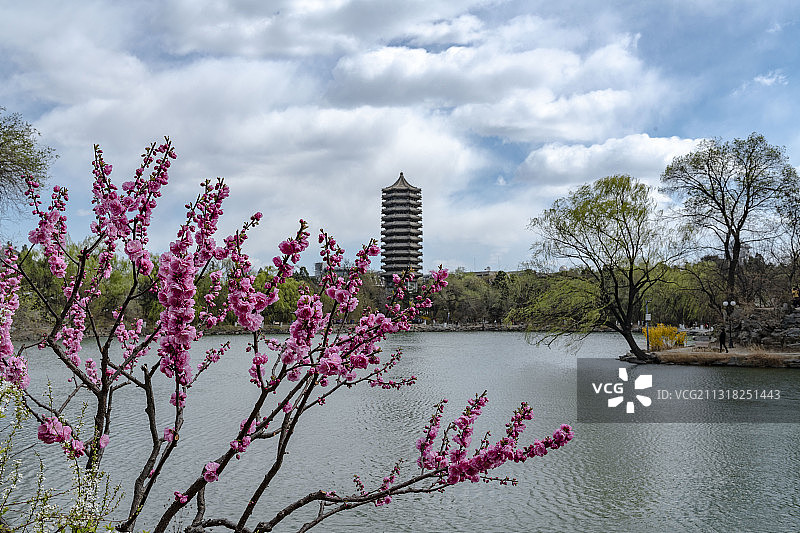 北京大学校园图片素材