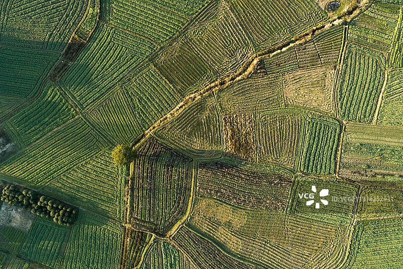 故乡的田野/ 湖北省通城县大坪乡图片素材