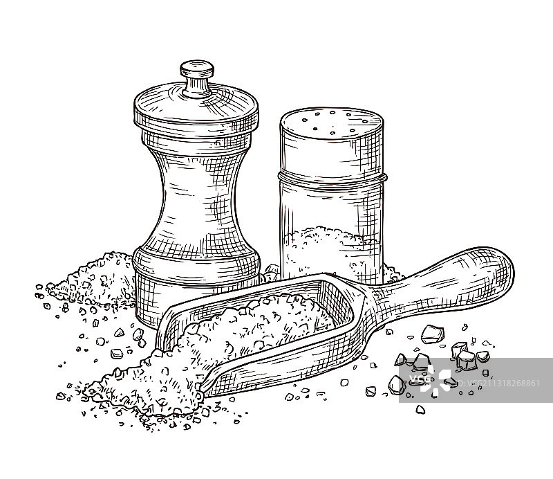 海盐素描调味料图片素材