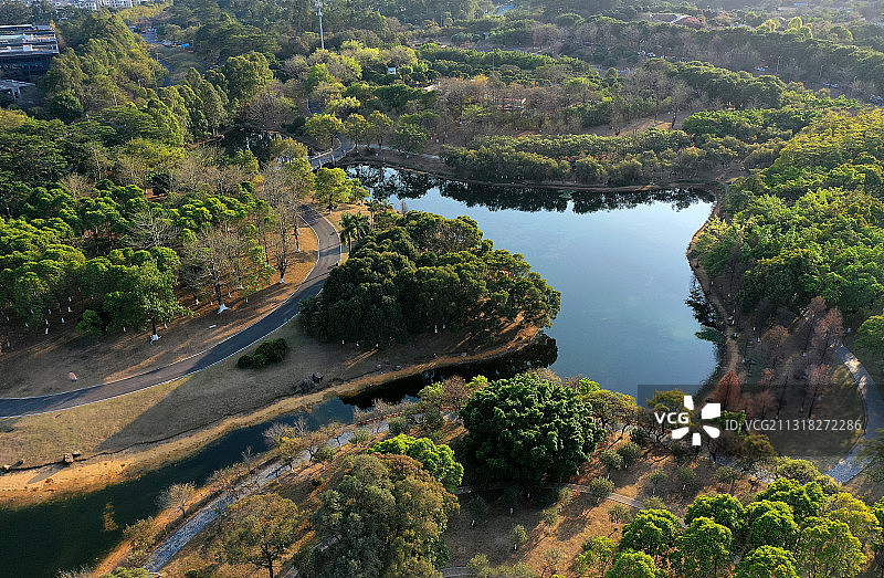 广东省东莞市大朗镇松山湖图书馆和中心公园航拍图片素材