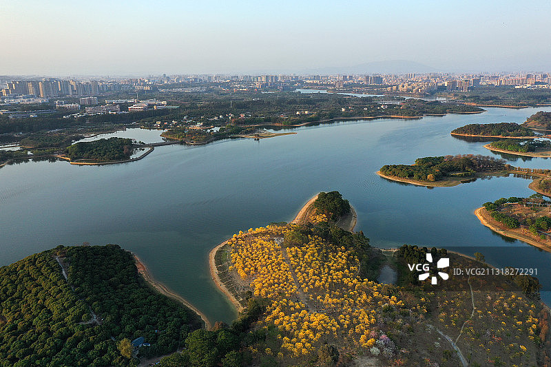 广东省东莞市大朗镇松山湖风景区松湖花海航拍图片素材