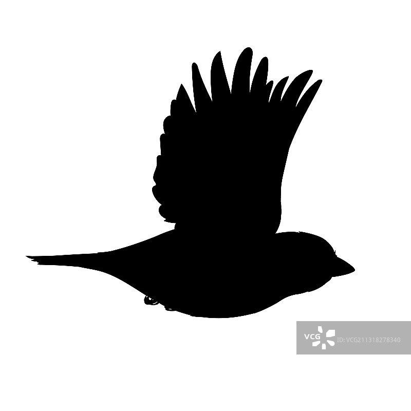 写实风格的单色飞行麻雀图片素材