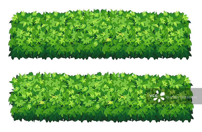 花园灌木隔离灌木篱笆绿色图片素材