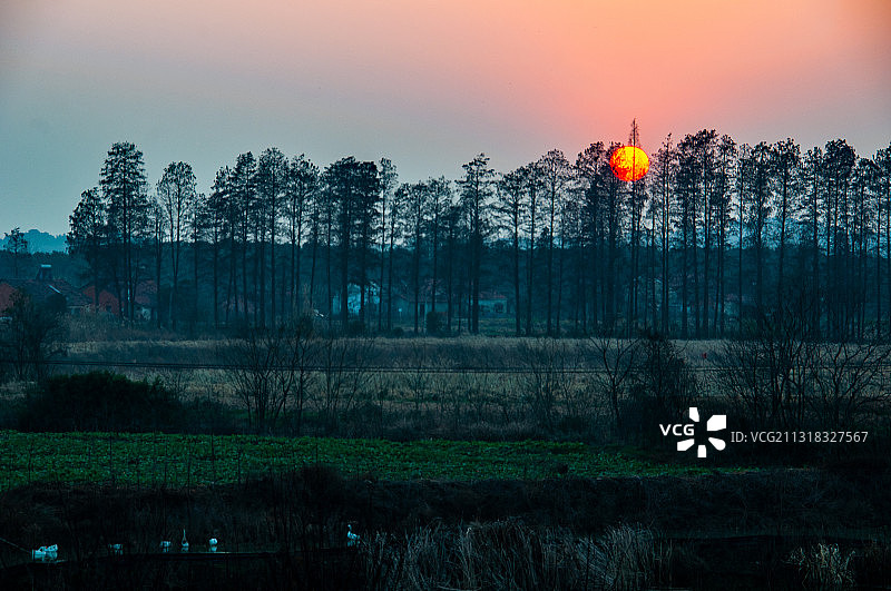武汉东西湖府河日落图片素材