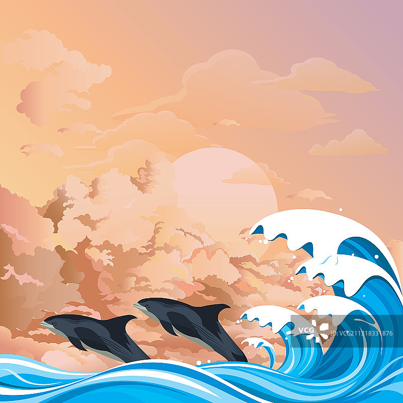 海豚在黎明时冲浪图片素材