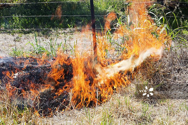 澳大利亚维多利亚州谢珀顿附近的路边火灾，可能是由司机乱扔烟头引起的图片素材