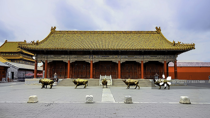 故宫五牛图片素材