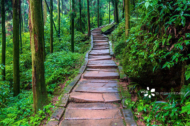 中国四川成都青城山山路图片素材