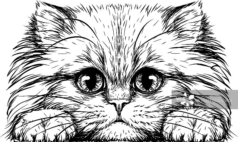 小猫墙贴图片素材