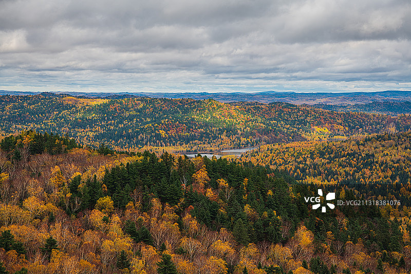 黑龙江省伊春市小兴安岭汤旺河林区俯瞰图片素材