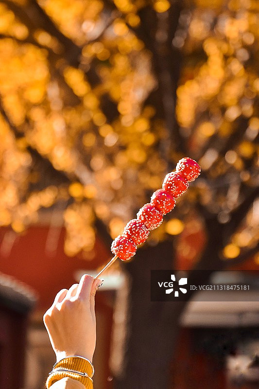 秋与糖葫芦图片素材