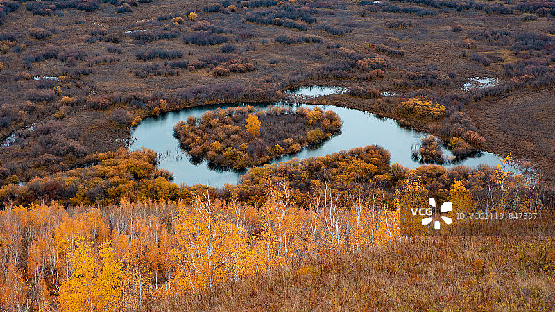 额尔古纳湿地公园秋景图片素材