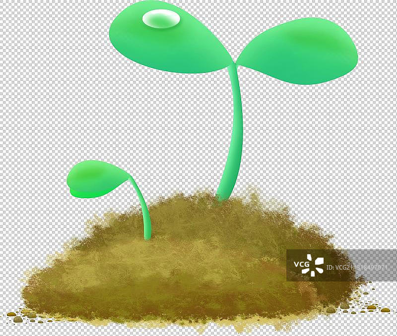 发芽的绿叶嫩芽上有露珠图片素材